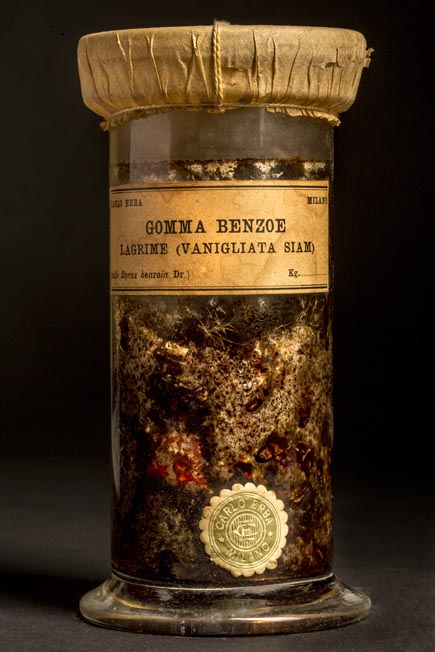 GOMMA BENZOE - lagrime - vanigliata Siam